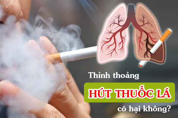 Thỉnh thoảng hút thuốc lá có hại không?